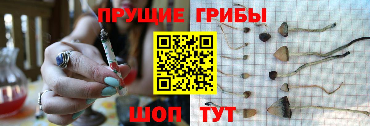 Менделеевск  Псилоцибиновые грибы ЛСД  Галлюциногенные грибы GOLDEN TEACHER  Вход с VPN 
